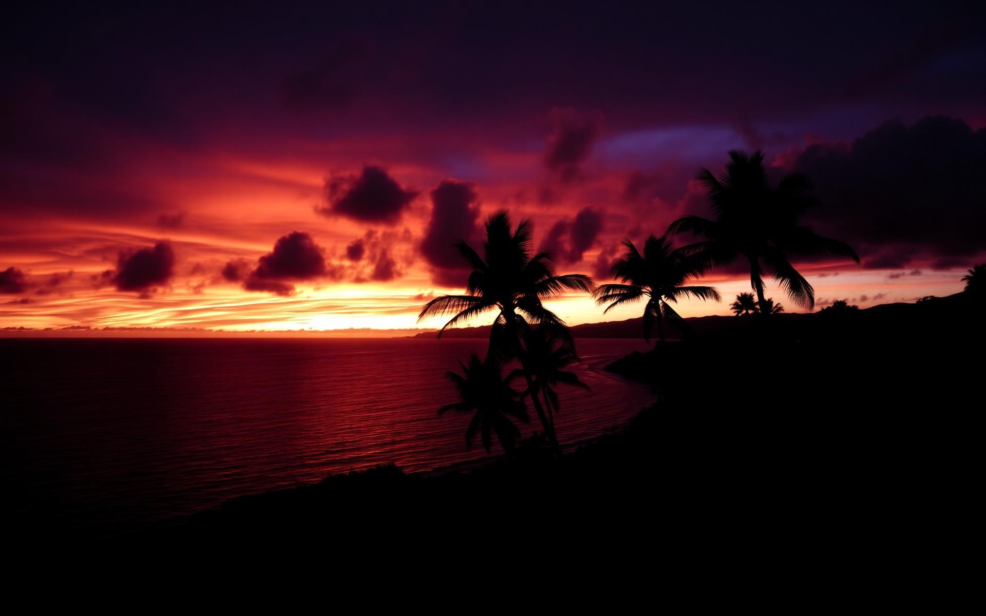 Kona Hawaii sunset over the ocean with silhouetted palm trees